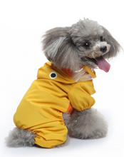 Load image into Gallery viewer, Duckie Rain Dog All in one
