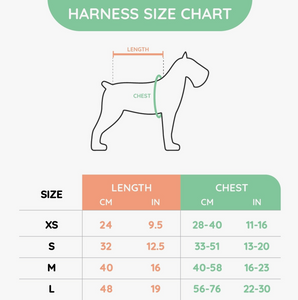 NEW Hugsmart Pet - Dog Harness | Foodietime