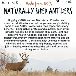 Bugalugs Natural Deer Antler Powder