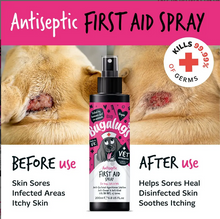 Load image into Gallery viewer, Bugalugs Antiseptic First Aid Spray 200ml
