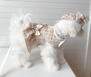 NEW Glam Dog Harness