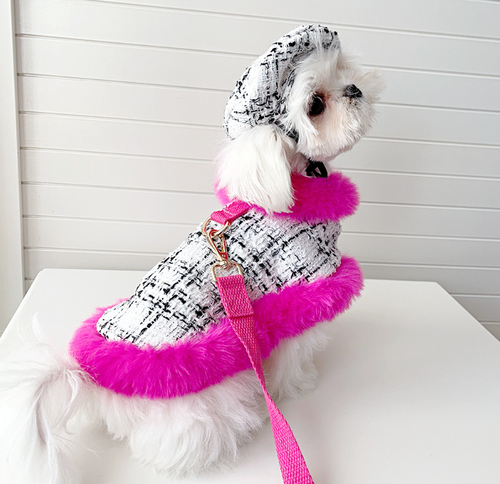 Doggie clothes deals boutique
