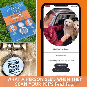 Fetch Tag - Smart Pet Tag