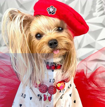 Load image into Gallery viewer, NEW In Style Dog Bonnet Hat
