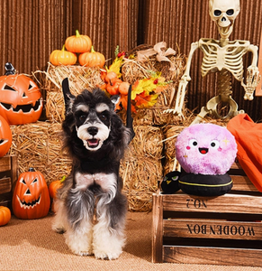 Halloween - Withy Dog | Crystal Ball - Dog Plush Toy