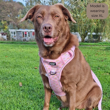 Load image into Gallery viewer, Pawstory Trail Buddy Harnass - Chasing Rainbows
