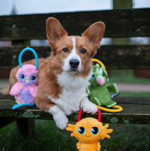 Load image into Gallery viewer, Pawstory Buddies -Timmie Triceratops
