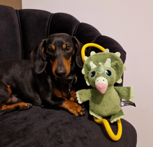 Load image into Gallery viewer, Pawstory Buddies -Timmie Triceratops
