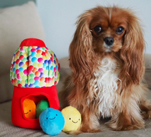 Load image into Gallery viewer, Pawstory Snuffles - Happy Gumballs
