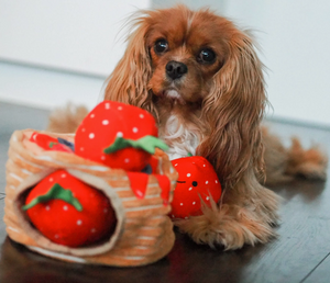 Pawstory  Snuffles - Pancake Party