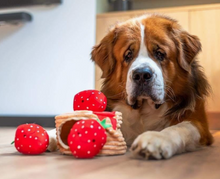 Load image into Gallery viewer, Pawstory  Snuffles - Pancake Party
