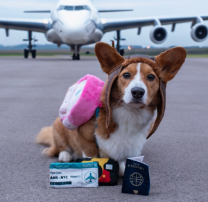 Pawstory Billy Backpack