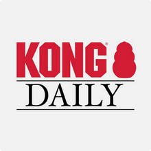 Load image into Gallery viewer, KONG - DAILY NEWSPAPER XL
