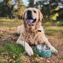 Load image into Gallery viewer, PawStory Avenue Classic Pet Bowl – Atlas Green
