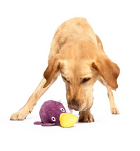Load image into Gallery viewer, BARK - Pippi Platypus
