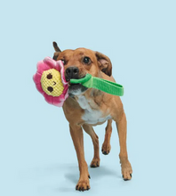 Load image into Gallery viewer, BARK - Penny Pechewnia
