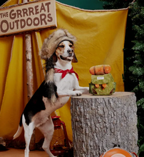 Load image into Gallery viewer, BARK - Rowdy Rucus Rucksack
