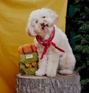 BARK - Rowdy Rucus Rucksack