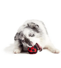 Load image into Gallery viewer, BARK - Tough Collection - Lady Bugsy
