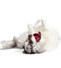 Load image into Gallery viewer, BARK - Tough Collection - Lady Bugsy
