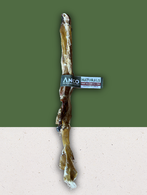 Anco Natural Treats - Giant Bully Muscle Stick