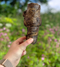 Load image into Gallery viewer, Natural Dog Treats - Wrapped Buffalo Trachea 1PC
