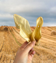 Load image into Gallery viewer, Natural Dog Treats - Hairless Goats Ears 1PC
