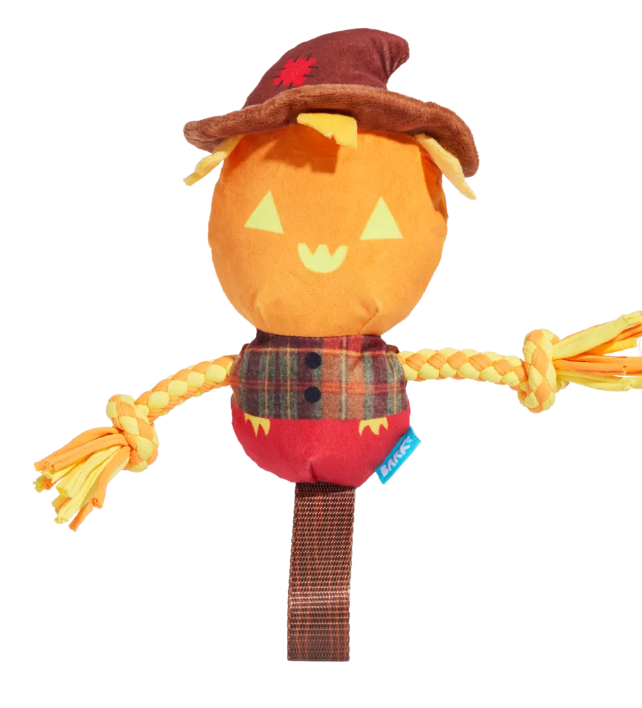 BARK Halloween Jack-Crow-Lantern