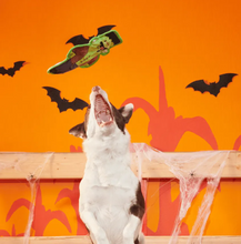 Load image into Gallery viewer, BARK Halloween Frankenstein&#39;s Muttster
