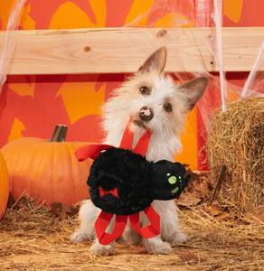 BARK Halloween Blake Widow