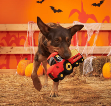 Load image into Gallery viewer, BARK Halloween Oldest McDonald
