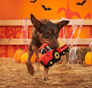 BARK Halloween Oldest McDonald