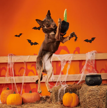 Load image into Gallery viewer, BARK Halloween Texas Chainspaw
