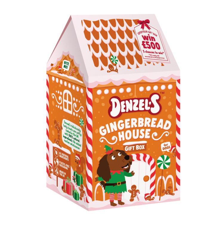 Denzels Christmas Gingerbread House