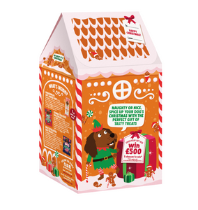 Denzels Christmas Gingerbread House