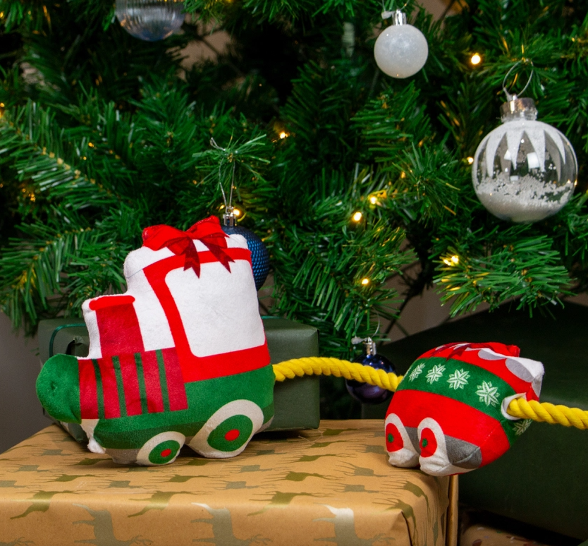 Ancol Christmas Express