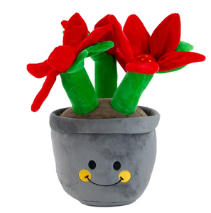Ancol Christmas Henrietta Poinsettia
