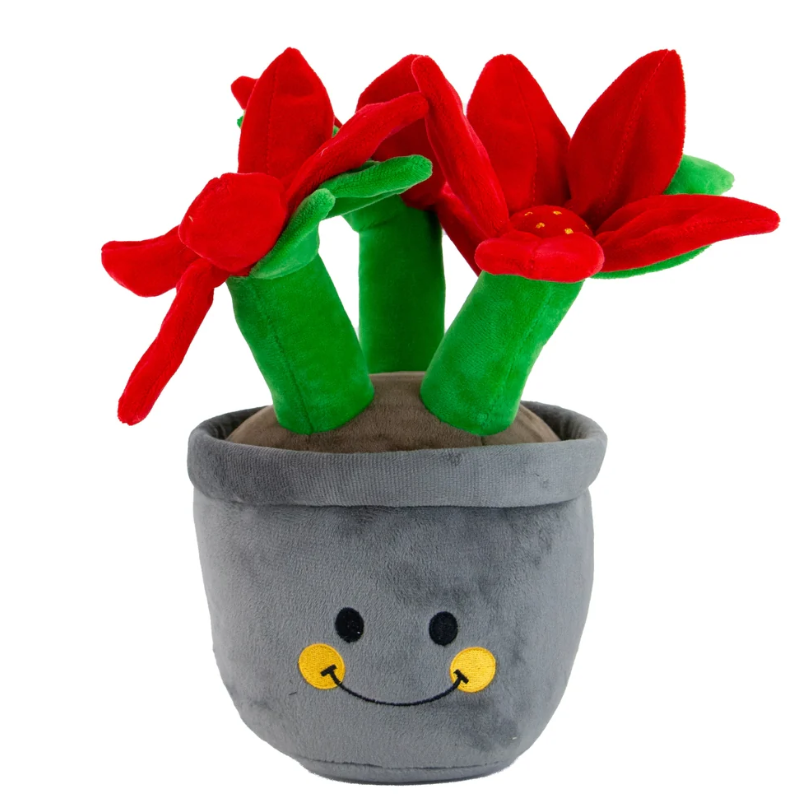 Ancol Christmas Henrietta Poinsettia