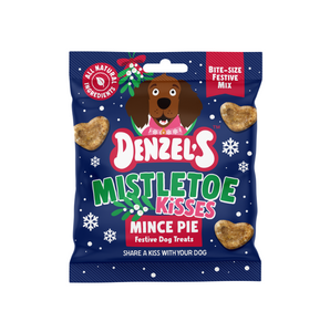 Denzels Christmas Gingerbread House
