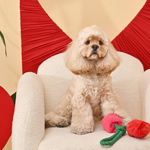 Load image into Gallery viewer, Hugsmart Pet - Woof Love | Vday Rose - Dog Rope Toy
