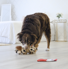 Load image into Gallery viewer, KONG Comfort Pups Spot Medium
