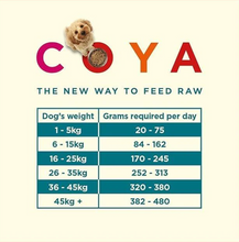 Load image into Gallery viewer, COYA Fish Adult Dog Food 150G
