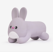 Load image into Gallery viewer, Hugsmart Hoppin' Easter | Hoppy Bunny

