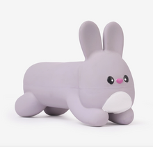 Load image into Gallery viewer, Hugsmart Hoppin' Easter | Hoppy Bunny
