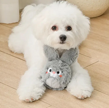 Load image into Gallery viewer, Hugsmart Pet Farm Friendz Ball Dog Toy - Easter Bunny
