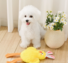 Load image into Gallery viewer, Hugsmart Pet - Hoppin' Easter | Easter Chick

