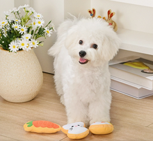 Load image into Gallery viewer, Hugsmart Pet - Hoppin' Easter | Easter Cookies
