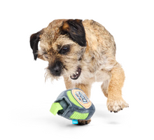 Load image into Gallery viewer, Bark x Crufts Personal Beast Play Timer
