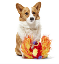 Load image into Gallery viewer, BARK X Harry Potter Fawkes
