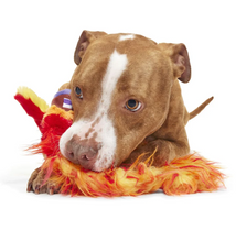 Load image into Gallery viewer, BARK X Harry Potter Fawkes
